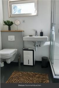 La salle de bains est pourvue de toilettes, d'un lavabo et d'une douche. dans l'établissement Sommerhäuschen, à Rheinsberg