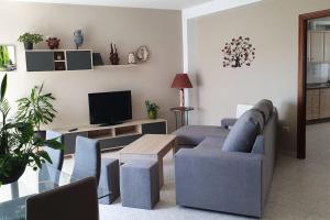 ein Wohnzimmer mit Sofa und Fernseher in der Unterkunft Piso vistas al mar. Playa de Aguete. Rías Baixas. in Marín