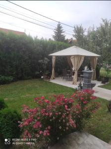 eine Terrasse mit einem Sonnenschirm und rosa Blumen in der Unterkunft SAMI APARTMAN in Niš