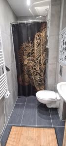 - Baño con cortina de ducha y aseo en LA FENSCH GIRALDA LUXEMBOURG., en Knutange