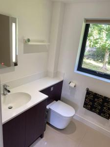 een badkamer met een toilet, een wastafel en een raam bij Cedar Garden Cottage in East Chinnock
