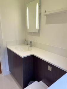 a bathroom with a sink and a mirror at Cedar Garden Cottage in East Chinnock