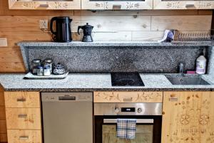 a kitchen with a sink and a stove top oven at Apartamenty Światłomir in Zakopane