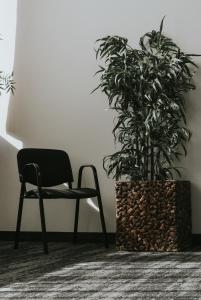 a plant and a chair in a room at Best Western Plus Plaza Hotel Graz in Graz
