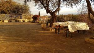 a table and chairs sitting under a tree at Casa con piscina camino e biliardo in San Giustino Valdarno
