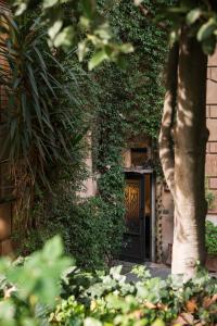 Un jardín fuera de Cozy loft Orsini Palace