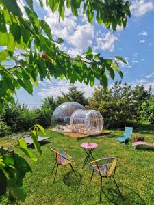 un groupe de chaises et un dôme en verre dans l'herbe dans l'établissement La bulle des champs, à Champmotteux