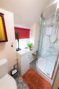 a bathroom with a shower and a toilet and a sink at Tri deg un, cottage for 2 adults and 2 children in Machynlleth