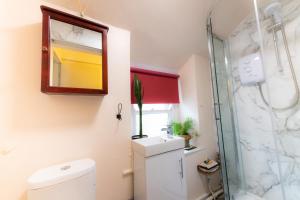 a bathroom with a shower and a toilet and a mirror at Tri deg un, cottage for 2 adults and 2 children in Machynlleth