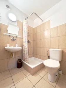 a bathroom with a toilet and a sink and a tub at AEDA chalupa in Liptovské Sliače