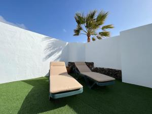 two lounge chairs and a palm tree next to a wall at Loft en zona rural de Lanzarote in Conil