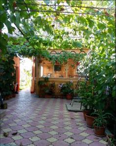 Fotografie z fotogalerie ubytování Casa Calin v destinaci Crisan