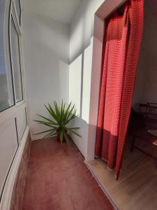 un pasillo con una puerta y una planta en una habitación en Casa Terra Cota - Seixal en Amora