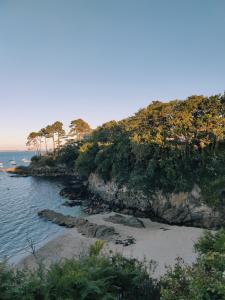 普盧貢韋蘭的住宿－CHARMANT APPARTEMENT 3 étoiles classé BORD DE MER Travel Award 2024，海边小山上的树木海滩