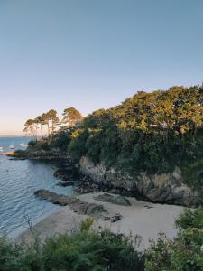 a beach with trees on a hill next to the ocean at CHARMANT APPARTEMENT 3 étoiles classé BORD DE MER Travel Award 2024 in Plougonvelin