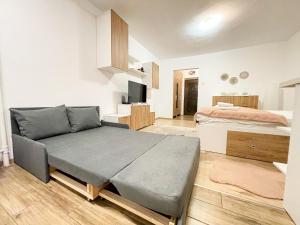 uma sala de estar com um sofá e uma cama em National Arena Studio 2 em Bucareste