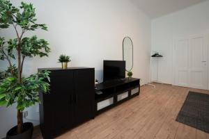 Televízia a/alebo spoločenská miestnosť v ubytovaní Lovely 1-bedroom apartment next to Praterstern