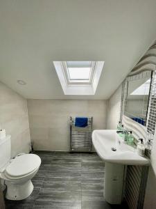a bathroom with a toilet and a sink and a skylight at Spacious 1 Bed Apartment In The City Centre in Cardiff