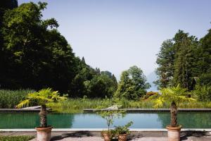 two palm trees in pots in front of a pond at Grandhotel Giessbach in Brienz