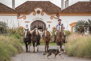 Ein Mann auf dem Pferd mit einem Hund und zwei Pferden und einem Hund. in der Unterkunft El Colibri - Relais & Châteaux in Santa Catalina