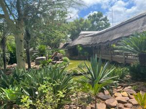 a garden with plants in front of a building at Sambane Game Lodge 