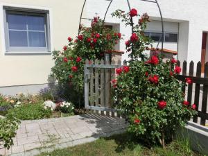 una recinzione con rose rosse sopra di essa di fronte a una casa di Weberhof a Egenhofen