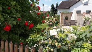 un jardín con rosas rojas y una valla en Weberhof, en Egenhofen