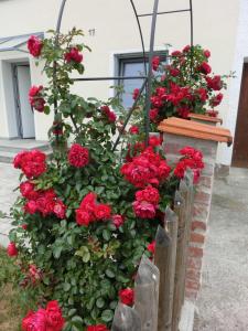 Un mucchio di rose rosse che crescono su un muro di Weberhof a Egenhofen