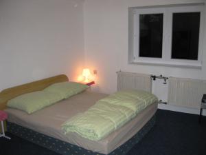 チェラドナーにあるChalupa Maruškaのベッドルーム1室(ランプ付)