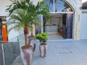 two palm trees in metal pots in front of a store at Arcos Palace Hotel in Arcos