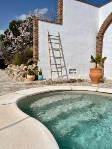 une petite piscine en face d'une maison dans l'établissement Casa Malacitano, Caminito del Rey, à Valle de Abdalagís