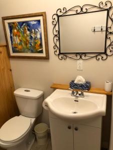 a bathroom with a toilet and a sink and a mirror at Loft Nature Laurentides in Val-des-Lacs