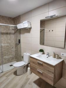 een badkamer met een toilet, een wastafel en een douche bij Apartamentos Doña Emilia in Adeje