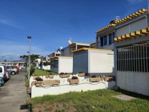 a group of sheep sitting on the side of a building at Costa del Silencio El Drago in Costa Del Silencio