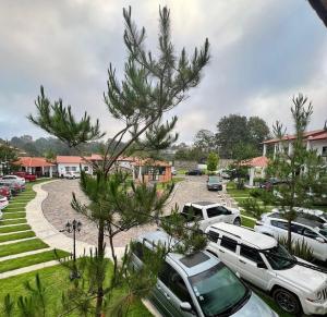 un grupo de autos estacionados en un estacionamiento en Hotel Casa Francisca Mazamitla., en Mazamitla