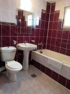 a bathroom with a toilet and a sink and a tub at Casa Livia în inima Bucovinei in Gura Humorului