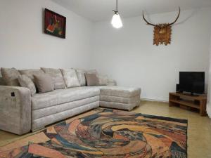 a living room with a couch and a rug at Casa Livia în inima Bucovinei in Gura Humorului