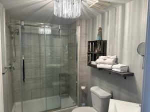 a bathroom with a shower and a toilet and a chandelier at Motel le Point de Vue in La Malbaie