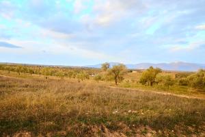 um campo de relva com árvores e montanhas ao fundo em Finca las Calmas boutique hotel & retreats em Moraleda de Zafayona