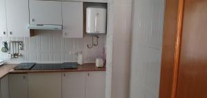 Kuchyňa alebo kuchynka v ubytovaní Apartamento Ciudad de las Ciencias