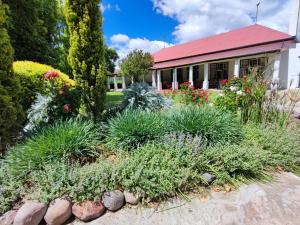 a garden with flowers and plants in front of a house at Ganora Guest Farm, Camping and Excursions in Nieu-Bethesda