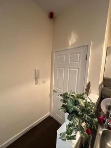a bathroom with a white door and a potted plant at Lovely One Bedroom Apartment in Rotherham