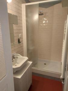 a white bathroom with a sink and a shower at Les dames du pont in Pontgibaud