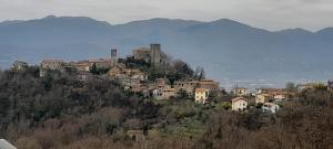 Foto dalla galleria di IL MERLO CODERLO a Scorcetoli