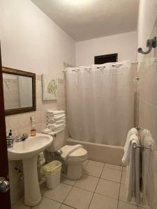 La salle de bains est pourvue de toilettes, d'un lavabo et d'une douche. dans l'établissement Playa Apartments, à Salinas