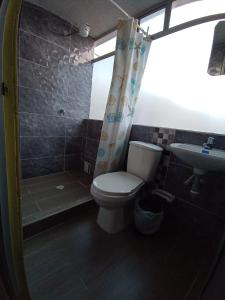 La salle de bains est pourvue de toilettes, d'une douche et d'un lavabo. dans l'établissement HOTEL DINO, à Pasto
