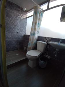 ein Badezimmer mit Toilette, Dusche und Waschbecken in der Unterkunft HOTEL DINO in Pasto