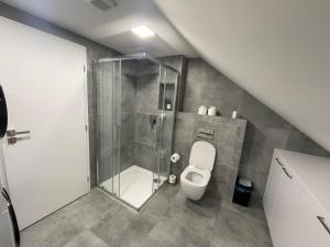 a bathroom with a shower and a toilet at Apartmán Světla in Pardubice