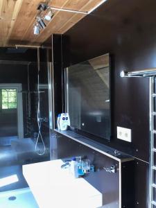 a bathroom with a mirror and a white sink at Ferien Gut Welzin in Welzin