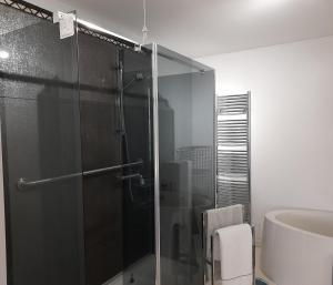 y baño con ducha acristalada y lavamanos. en Coastal Millennium Apartment, en Llanelli